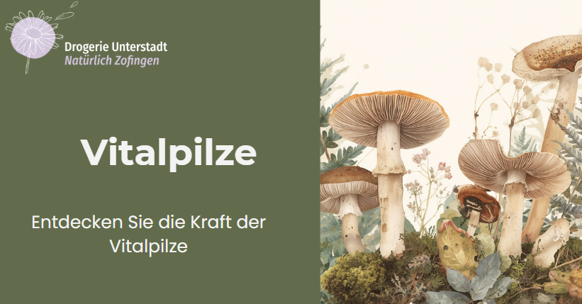 Vitalpilze Kundenvortrag