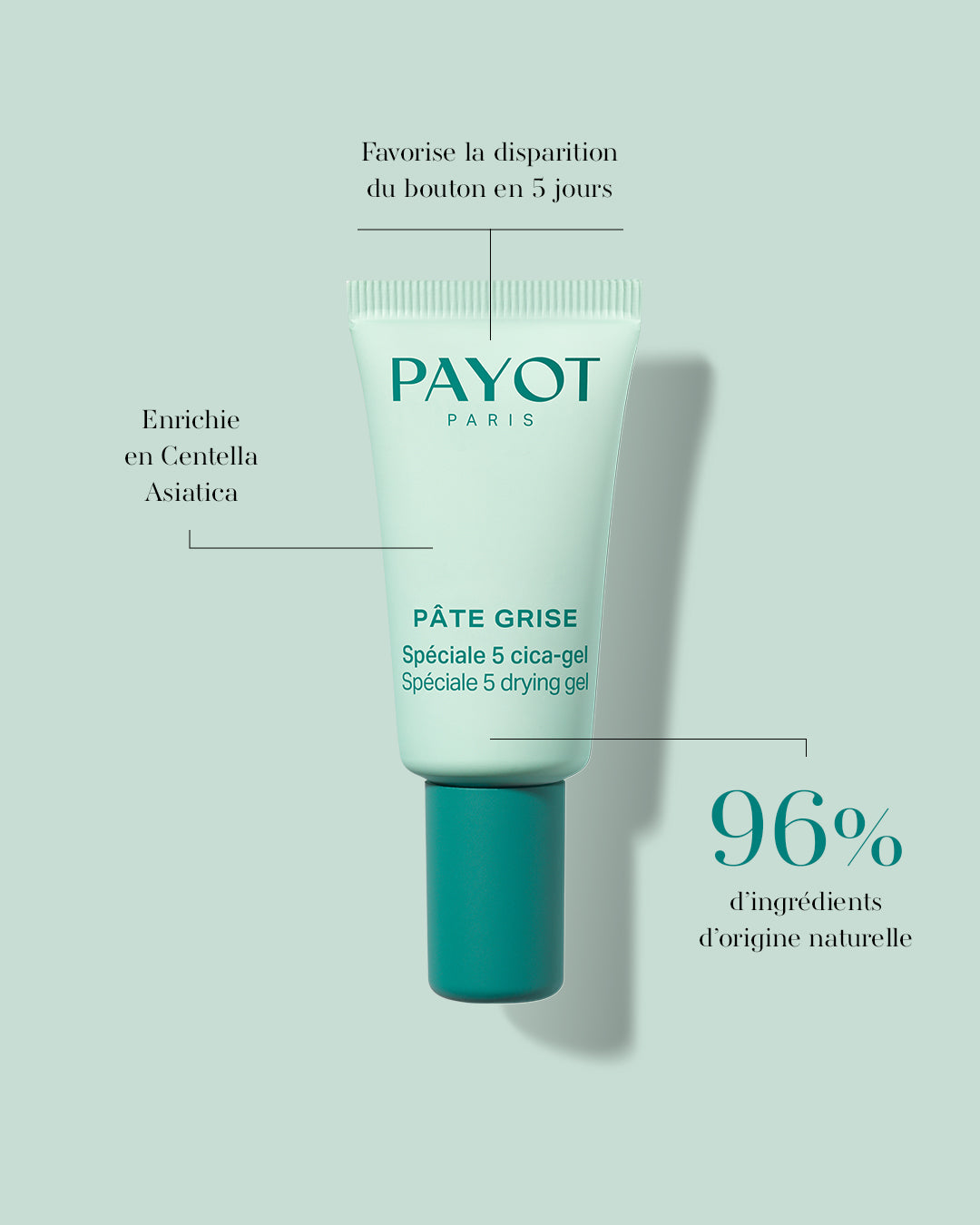 PAYOT Pâte Grise Spéc 5 Cica