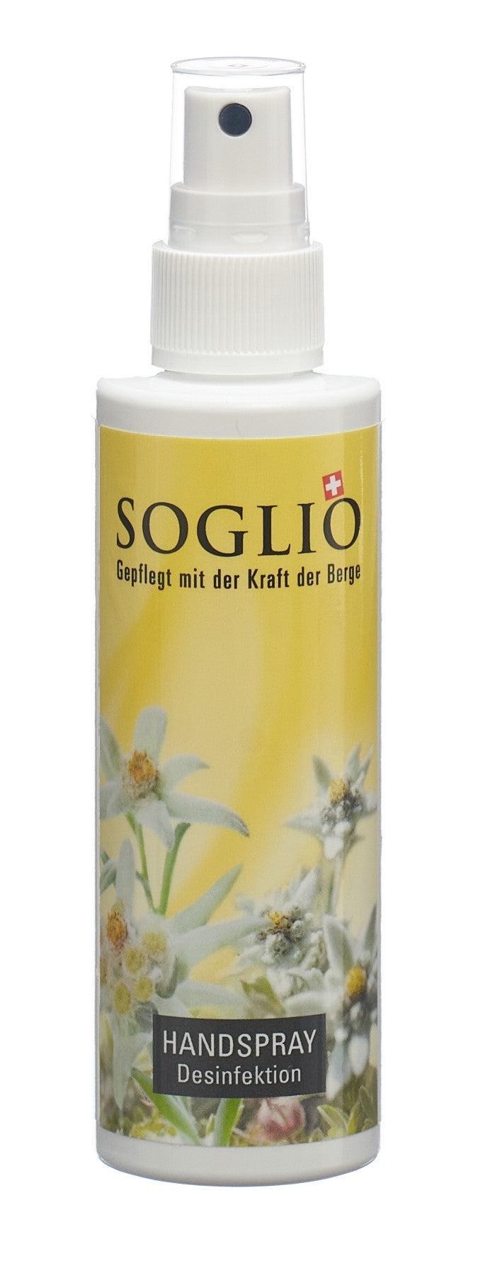 #Grösse_Flasche 100 ml