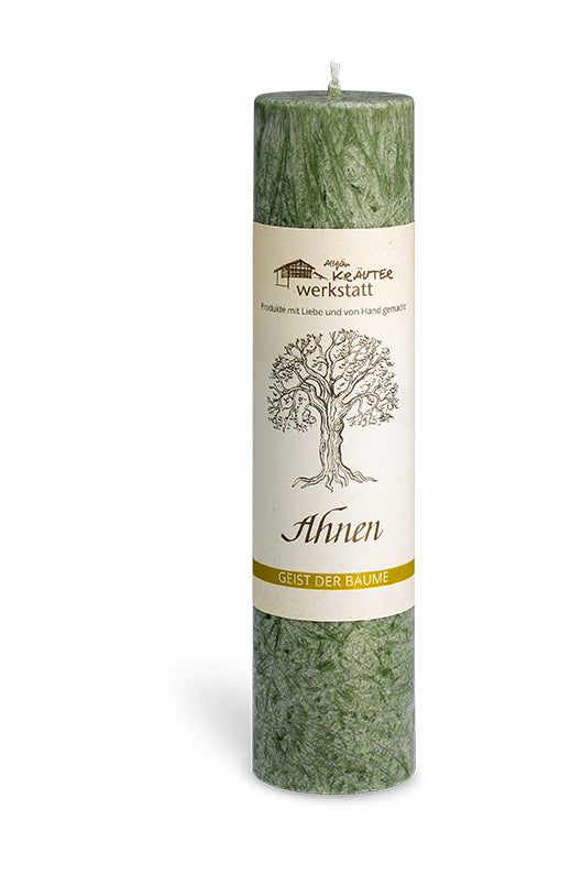 ALLGÄUER HEILKERZEN AHNEN BAUM